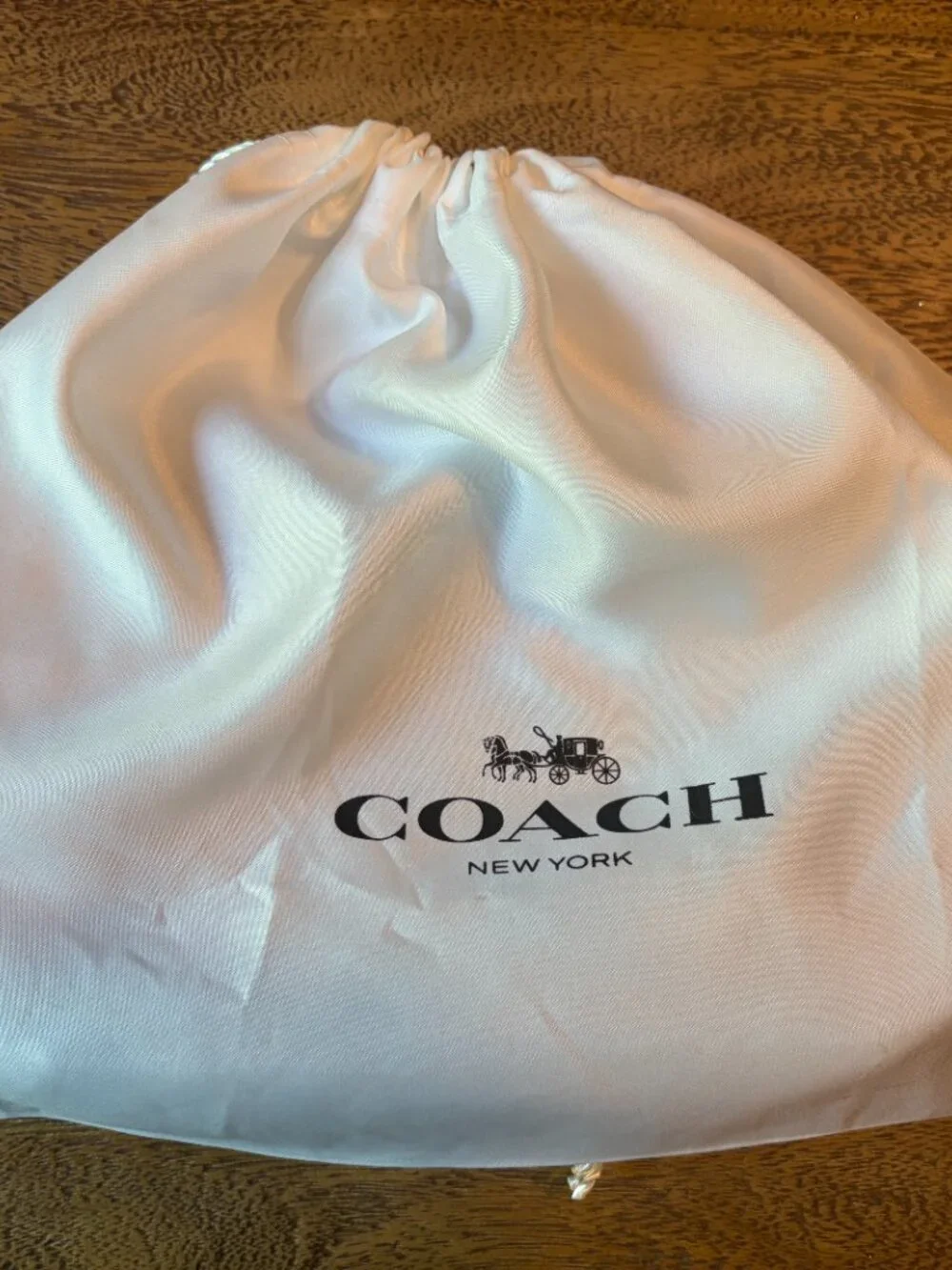Coach Denim Swinger Bag